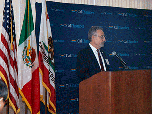 Dr. Mauricio Alcocer Ruthling