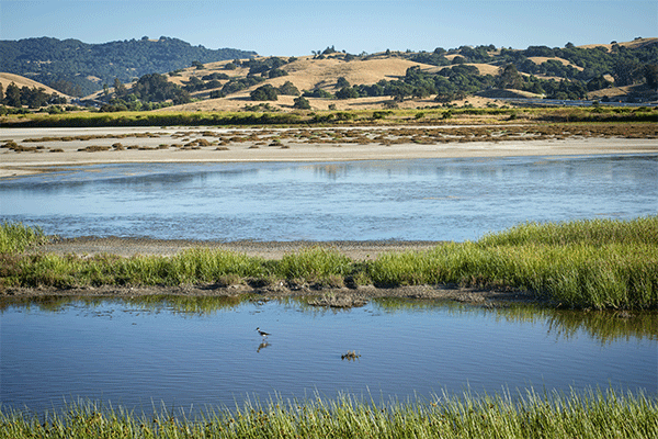 CalChamber, Water Coalition Affirm Support of Delta Conveyance Project -  Advocacy - California Chamber of Commerce