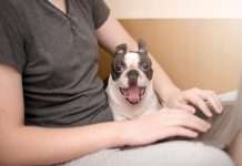 Wage and Hour Considerations for Remote Workers