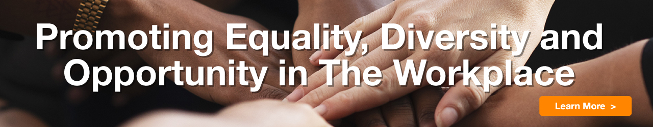 >Promoting Equality, Diversity and Opportunity in the Workplace