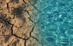 California May Reallocate Shrinking Water Supply