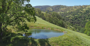 Tejon Ranch