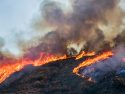 Unemployment Insurance Exceptions Granted for Workers and Employers Affected by Wildfires