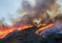 Unemployment Insurance Exceptions Granted for Workers and Employers Affected by Wildfires Brush and Tree Landscape Burning