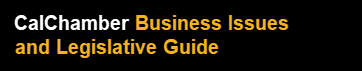 2022 Business Issues Guide