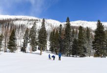 California’s Water Battles Continue Despite Record Rain and Snow Snow Survey