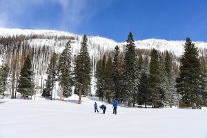 Snow Survey