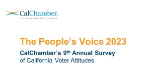 People’s Voice: Affordability, Crime Among Top Voter Concerns