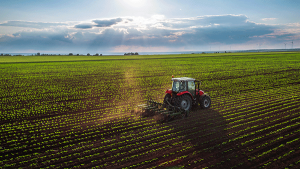 Tractor in Field