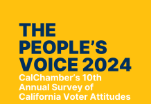 The People’s Voice: Annual Poll Outlines Priorities for New Legislature Peoples Voice 202424