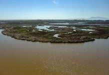 CalChamber Backs Bay-Delta Plan Update that Prevents Reduced Water Supplies