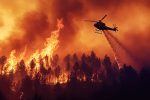 CalChamber Compiles List of Los Angeles Wildfire Resources