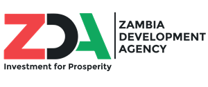 Zambia-U.S. State-Level Partnership Roadshow 2025