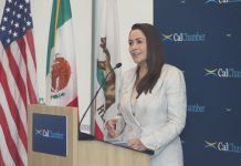 Similarities of States North/South of Border Basis for Many Collaboration Opportunities Aguascalientes Governor María Teresa Jiménez Esquivel