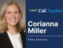 CalChamber Names Policy Advocate for Environmental, Housing Issues